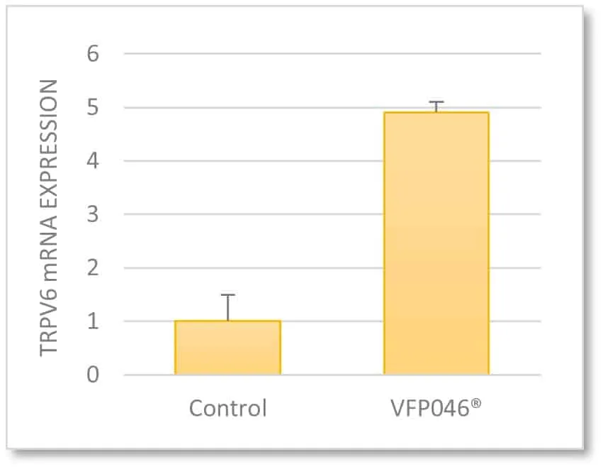 Calciumtransporter TRPV6