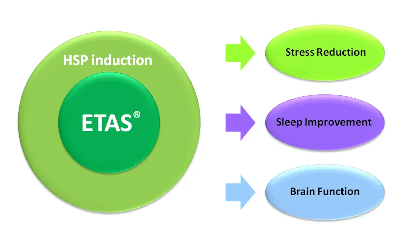 ETAS®, standardisierter Spargelextrakt