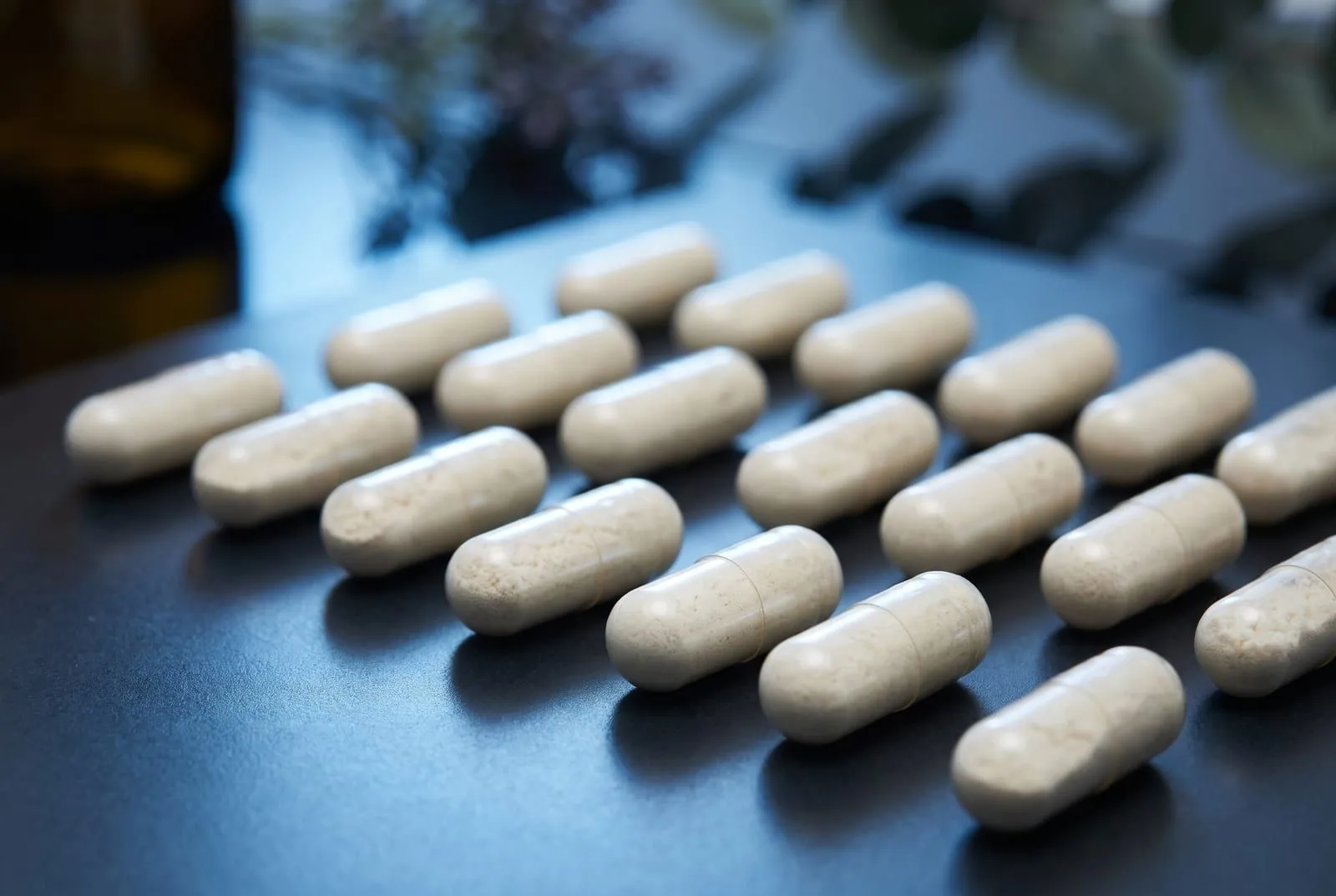 Nutraceutica